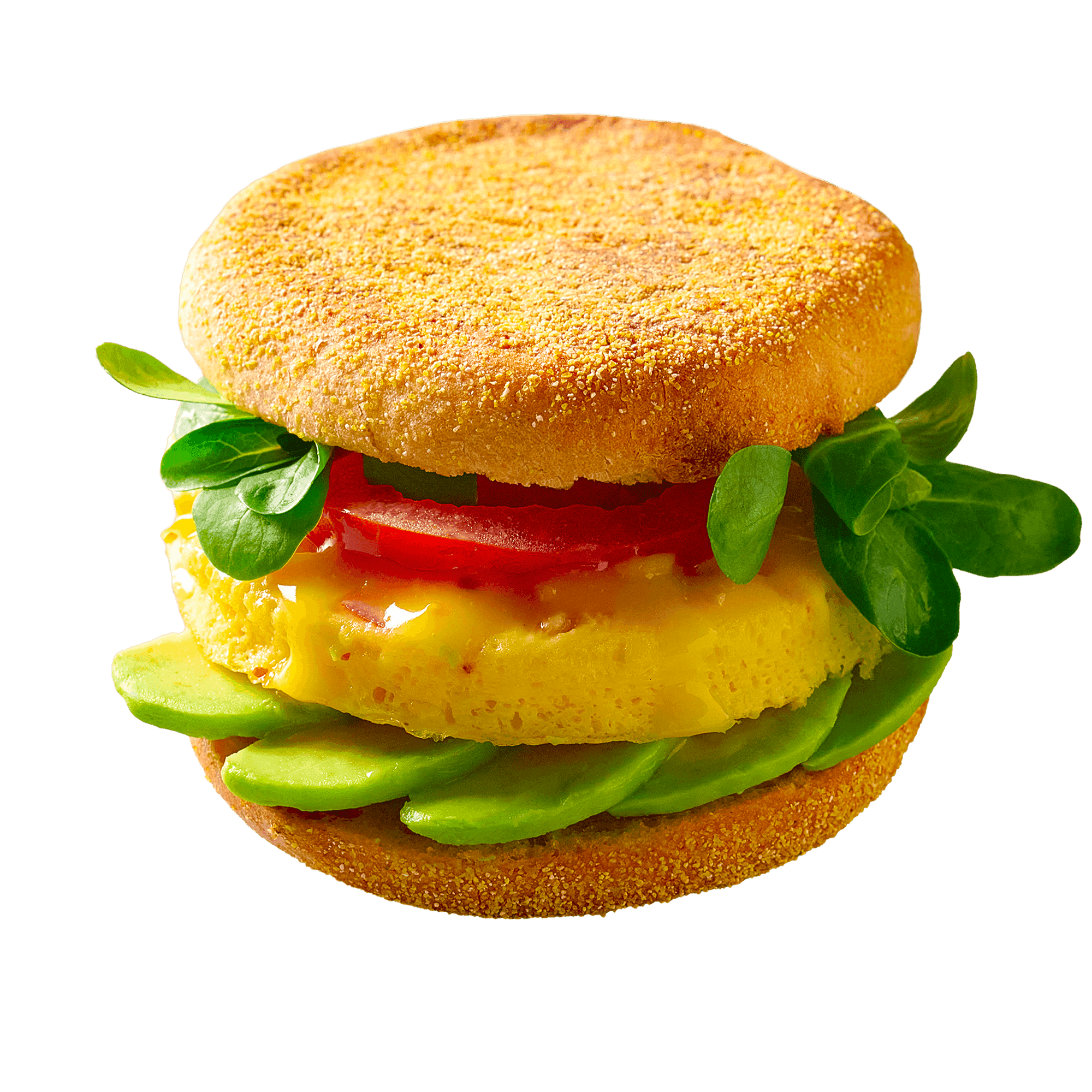 image_2491_585f2564364250940711bcb1cb18c90d.png