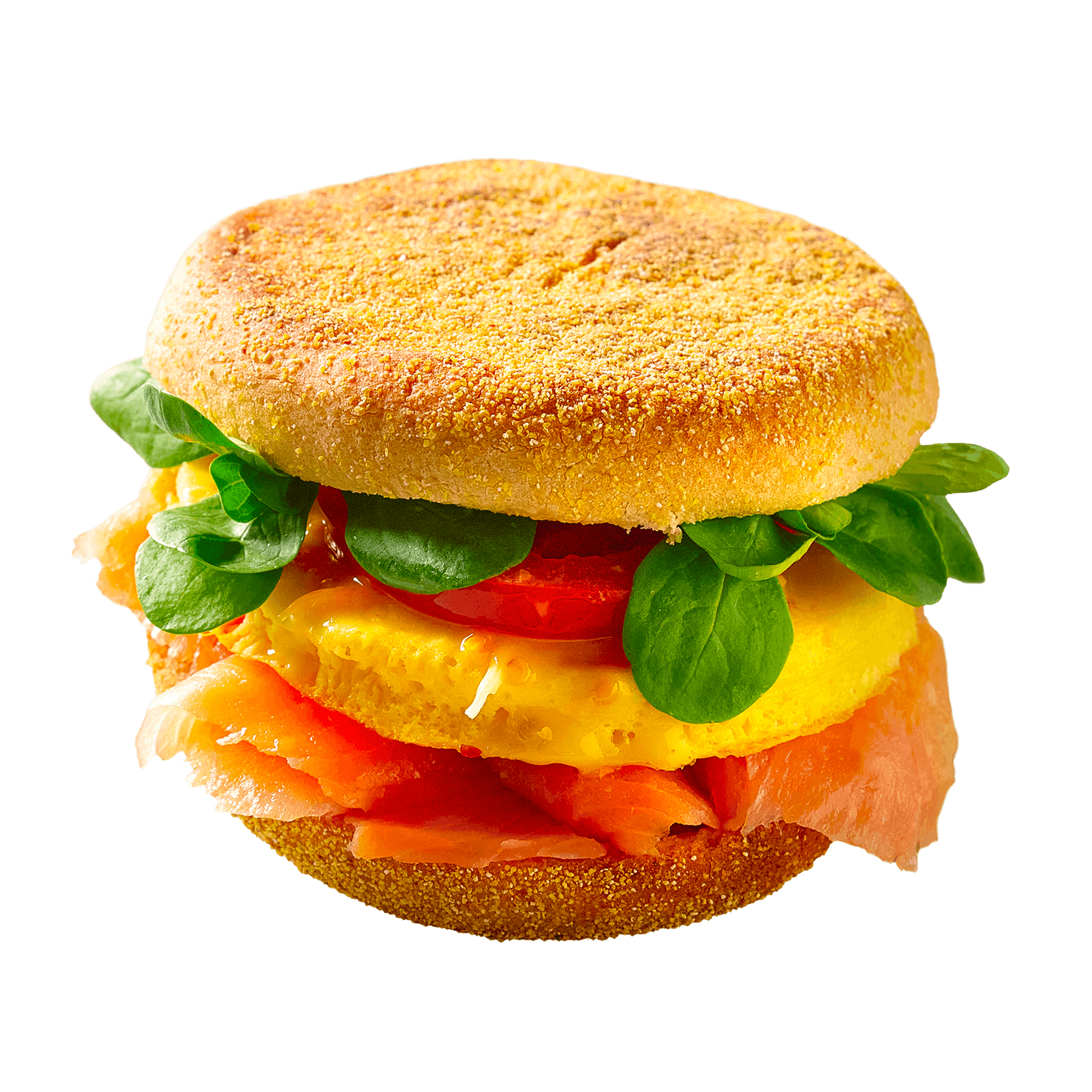 image_2475_4851131dcef12561f1c6a5d45bfaae0b.png