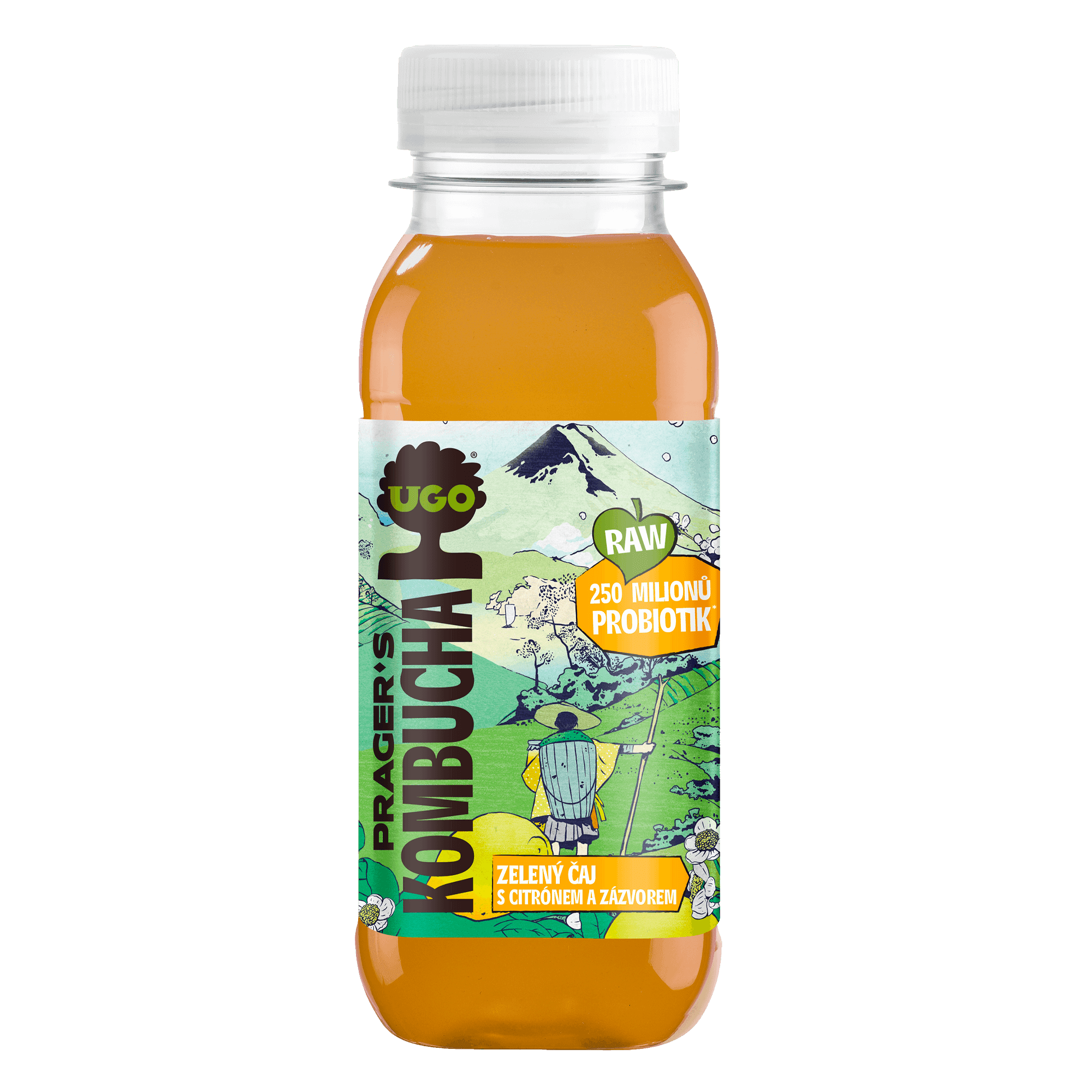 P095748 UGO 250_Kombucha CITRON_250ml.png