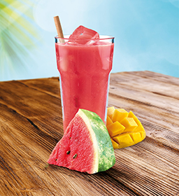 Nase_produkty_NAHLED_LETO_Meloun_Mango_256x280px.jpg