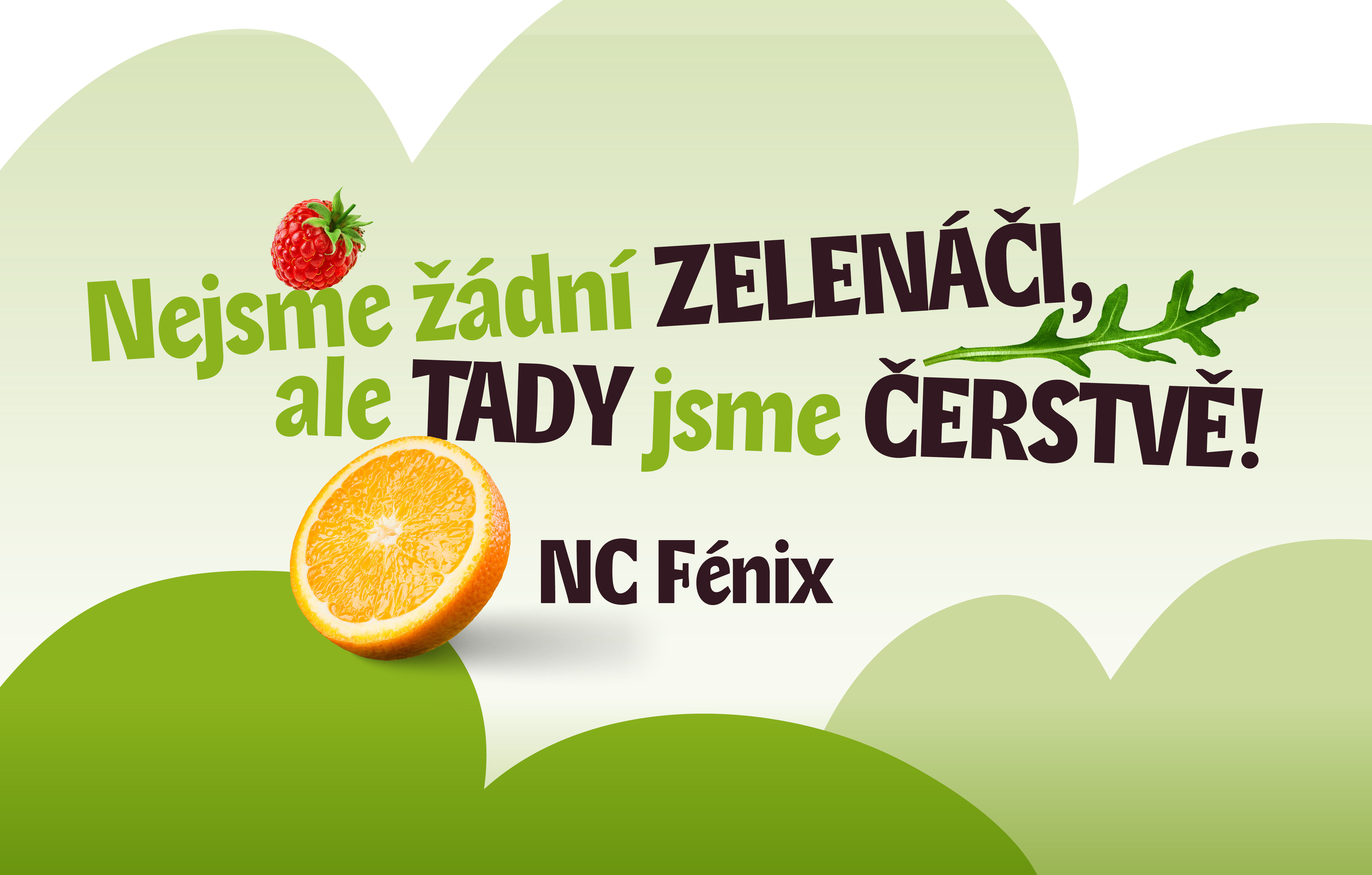 Nov&aacute; UGO Salaterie v NC F&eacute;nix!
