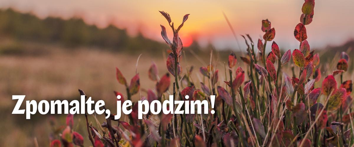 Podzimní zpomalení s UGO